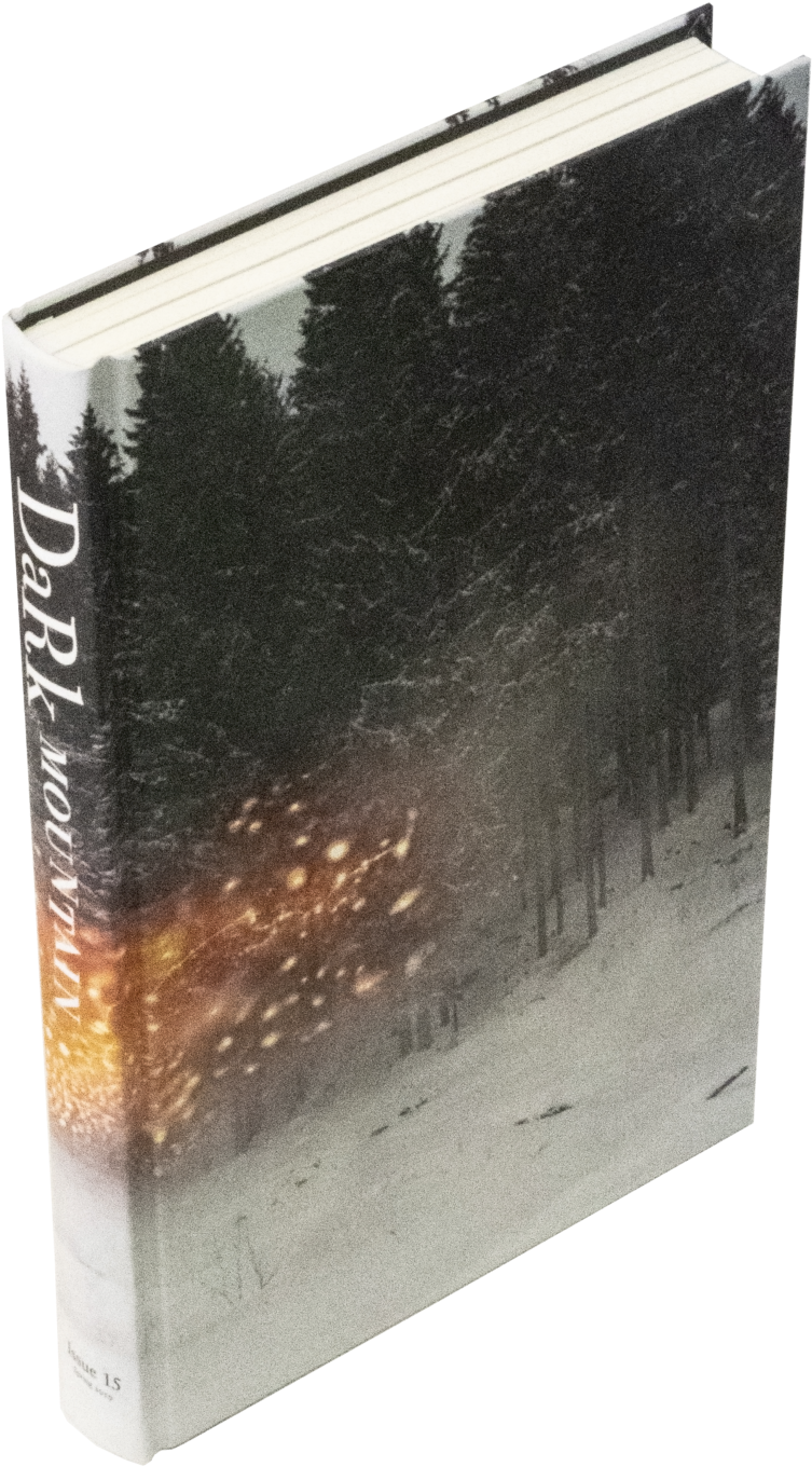 Issue - Book Cover (1000x1414), Png Download