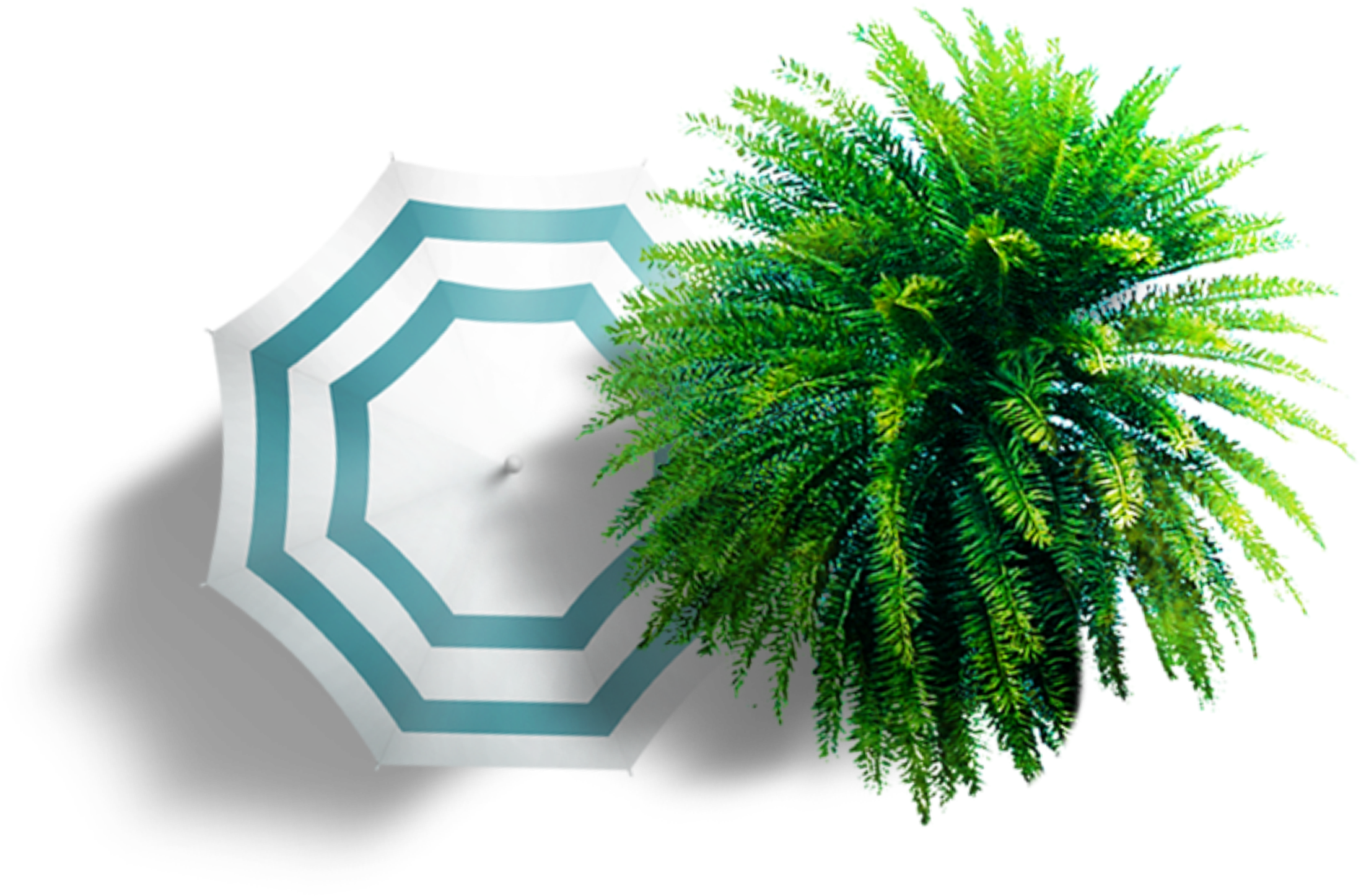 Summer Umbrella Colorful Trees Plan View Clipart - Ombrellone Pianta Png (3402x3402), Png Download