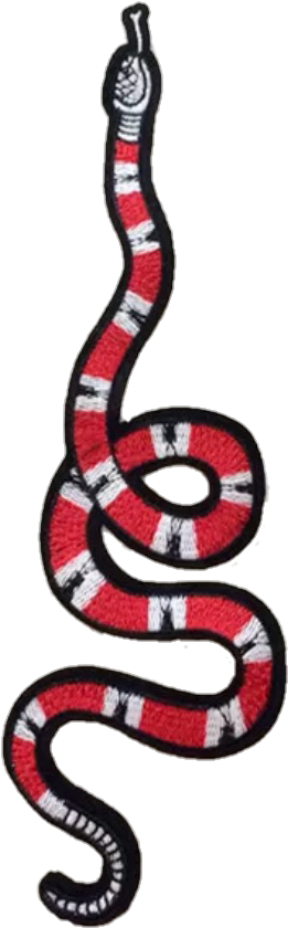 Png Transparent Clothes Png Clothes Transparent Food - Serpent (365x867), Png Download