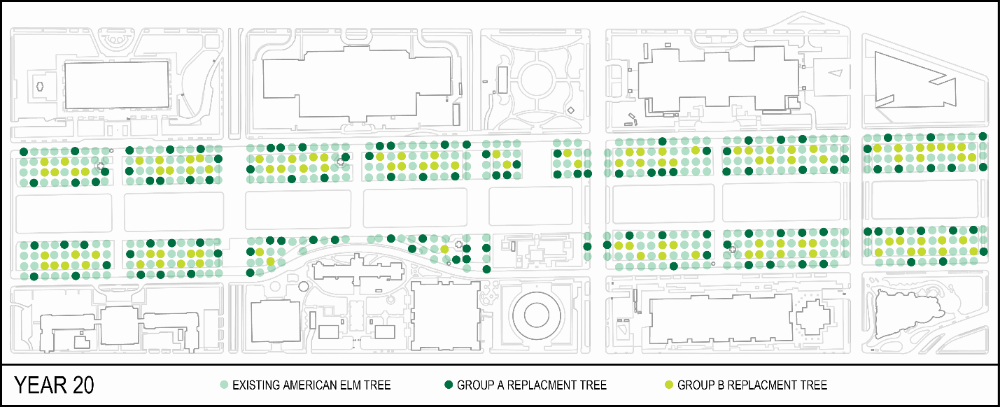 Tree Replacement Pla Example Download Continuing To Assume That 10 Trees Are Being Replaced ...