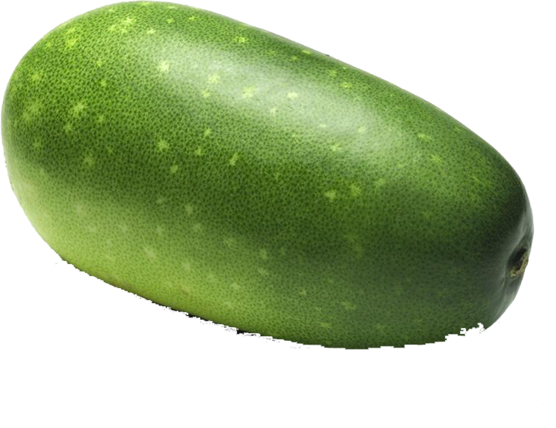 Cucumber Cantaloupe Wax Gourd Melon Vegetable - ฟัก Png (2953x2953), Png Download