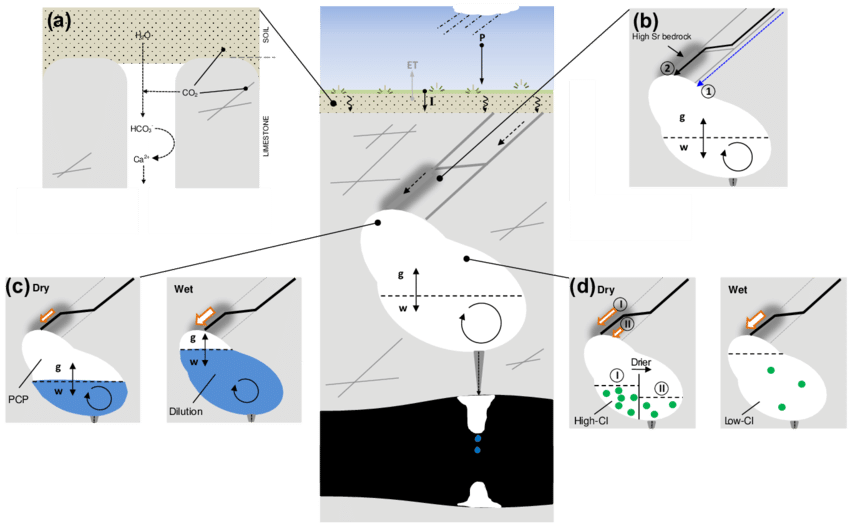 Conceptual Model Summarizing Key Process Affecting - Cartoon (850x526), Png Download