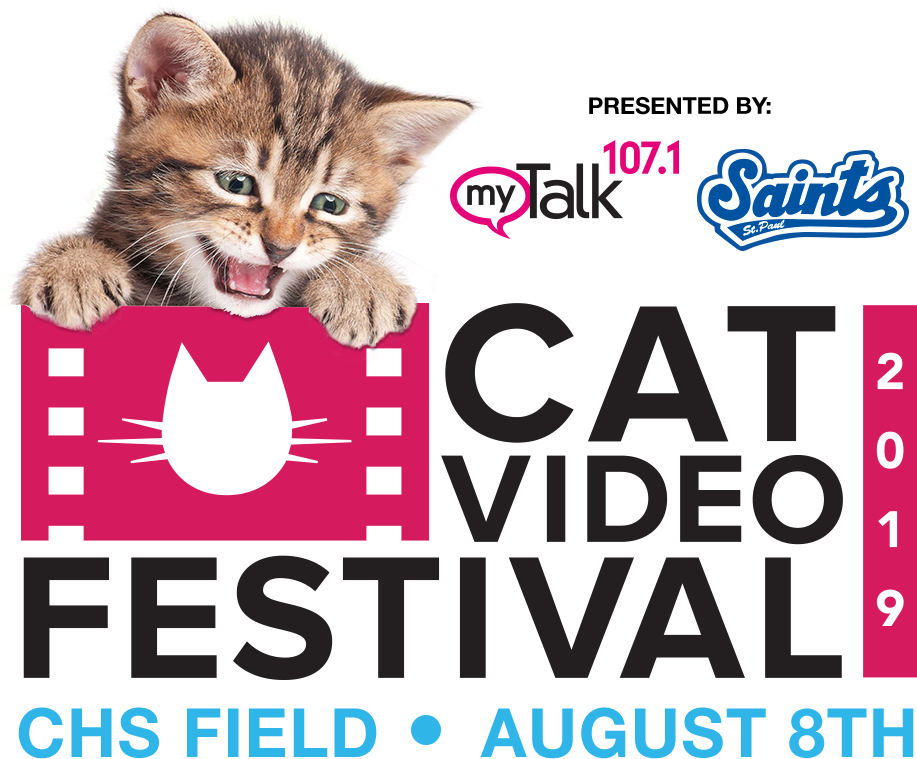Cat Video Festival Presented Mytalk And The Paul Saints - Kitten (994x834), Png Download