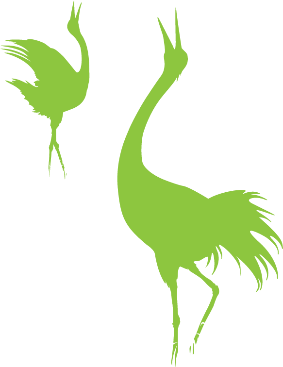 01-og - Crane-like Bird (600x1000), Png Download