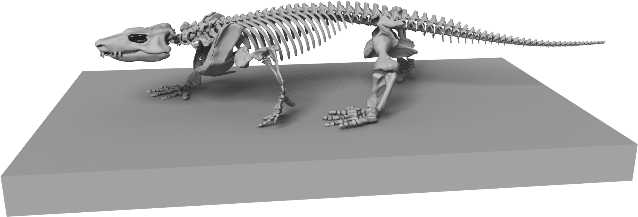 Orobates Reko - Orobates (2400x1200), Png Download