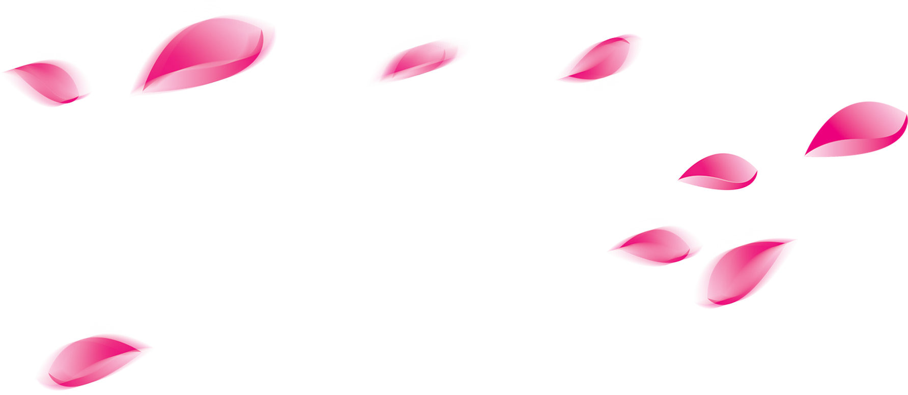 Falling Rose Petals Png - Petalos De Rosa Cayendo Png (1784x776), Png Download