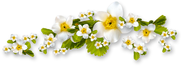 Palomas De Boda Png - Paloma De Boda Png (600x245), Png Download