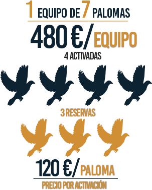 ¿listo Para Ser El Próximo Campeón - Costa Del Sol (315x402), Png Download