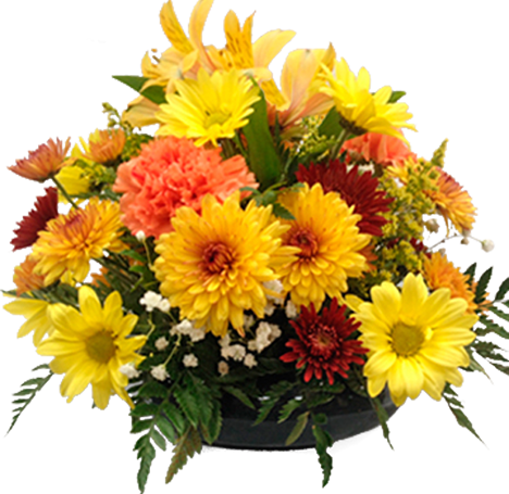 Embrace The - Flower (468x455), Png Download