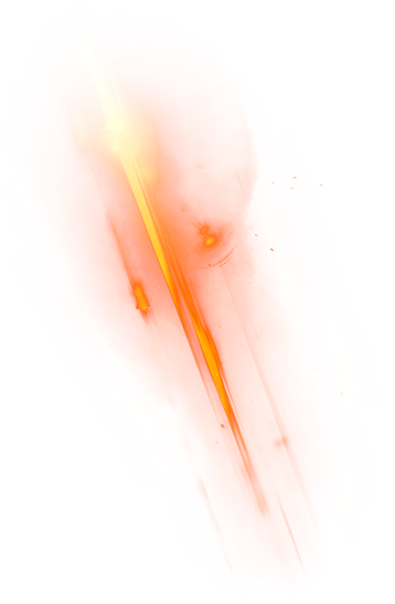 Marine Invertebrates (369x558), Png Download