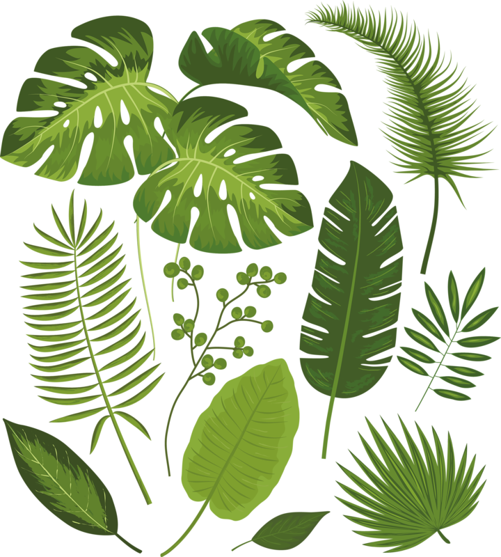 Фото, Автор ✿lili@ ✿ На Яндекс - Tropical Leaves Palm Banana Monstera Throw Blanket (720x800), Png Download