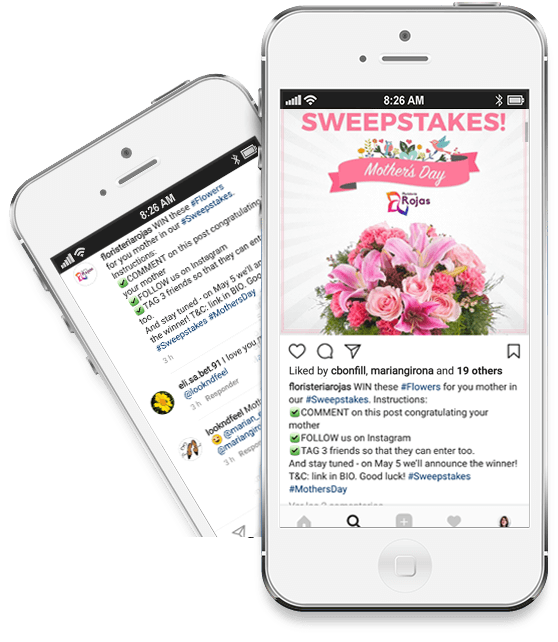 Instagram Giveaway - Ramo Variado Con Rosas Y Lilium - Envío De Flores A (557x651), Png Download