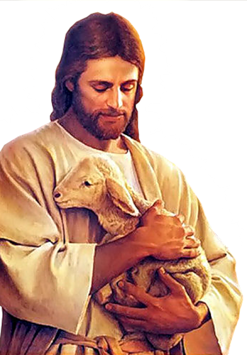 Jesucristo Png - Imagens De Jesus O Bom Pastor (348x500), Png Download