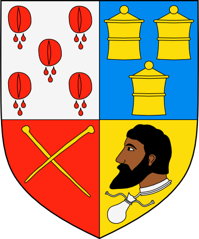 Armas Imaginarias Atribuidas A Jesucristo - Escudo De Los Jesus (390x468), Png Download