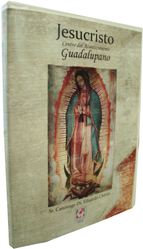 Basilica Of Our Lady Of Guadalupe (500x500), Png Download