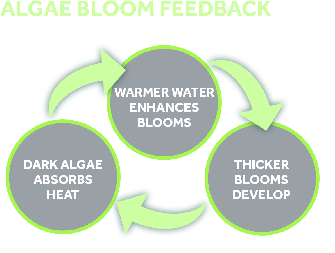 Jpg • Png - Diagram (1920x1080), Png Download