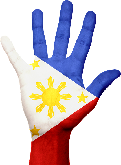 Philippines-handflag - Hand With Philippine Flag (473x640), Png Download