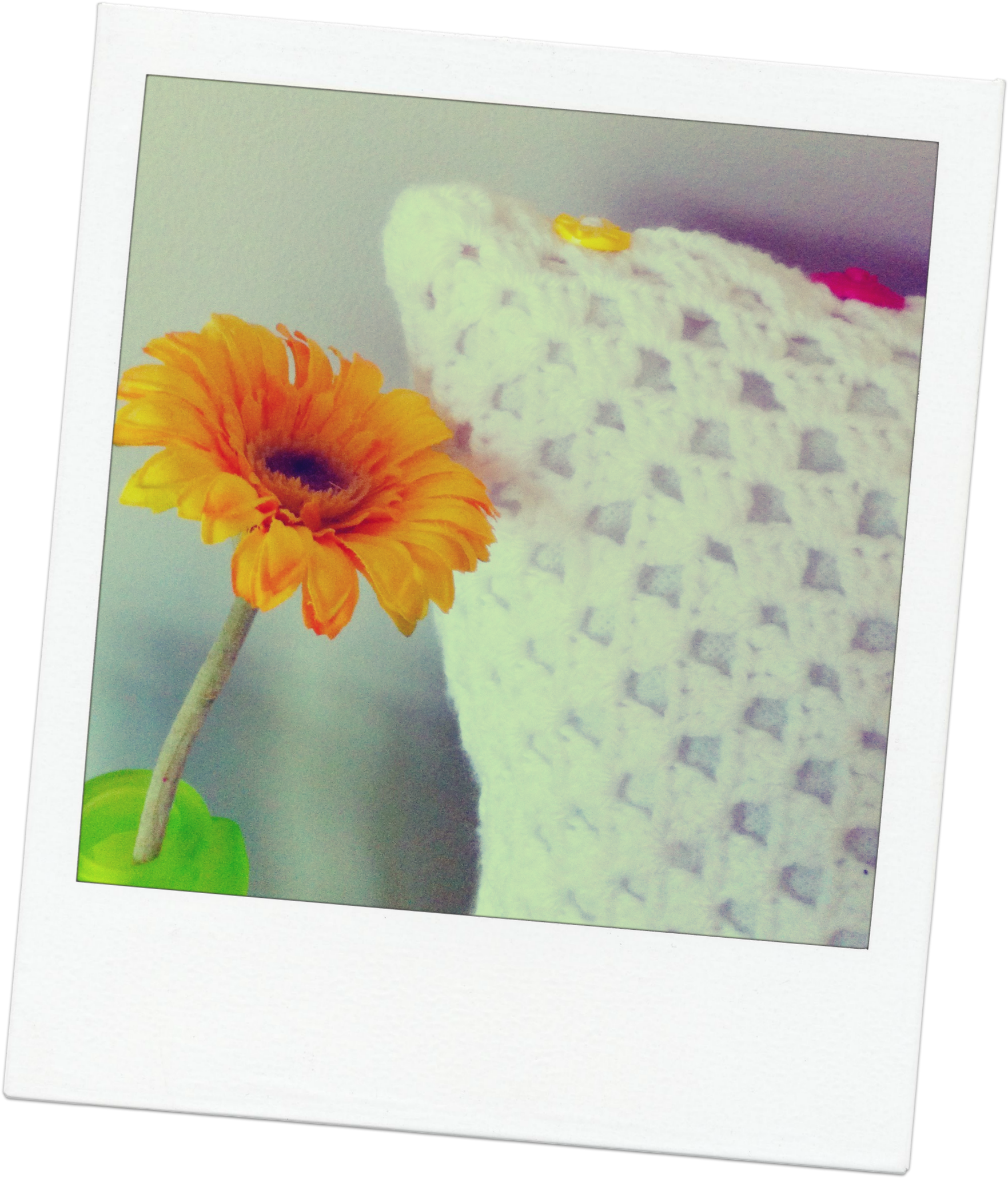 Cushion And Flower - Gerbera (1779x2078), Png Download