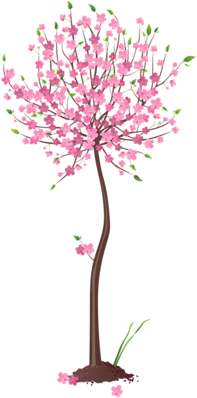 Spring Pink Tree Png Clipart - Spring Tree Clipart Png (339x600), Png Download