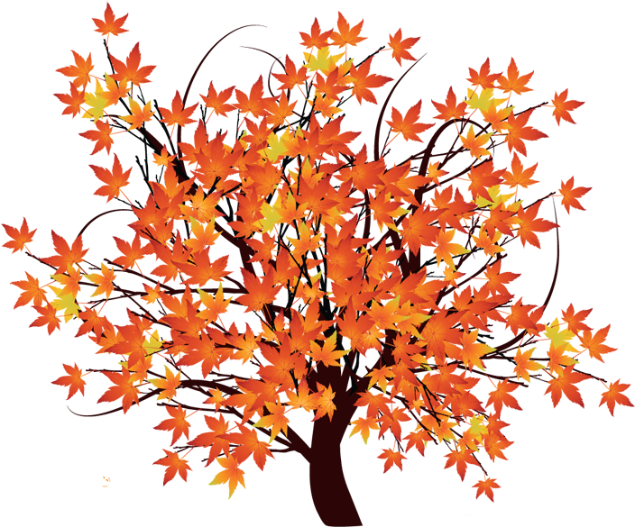 Pin Maple Tree Clip Art - October Tree Clipart (796x594), Png Download
