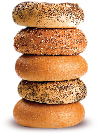 Bagels Png - Kind Of Bagel Can Fly (449x546), Png Download