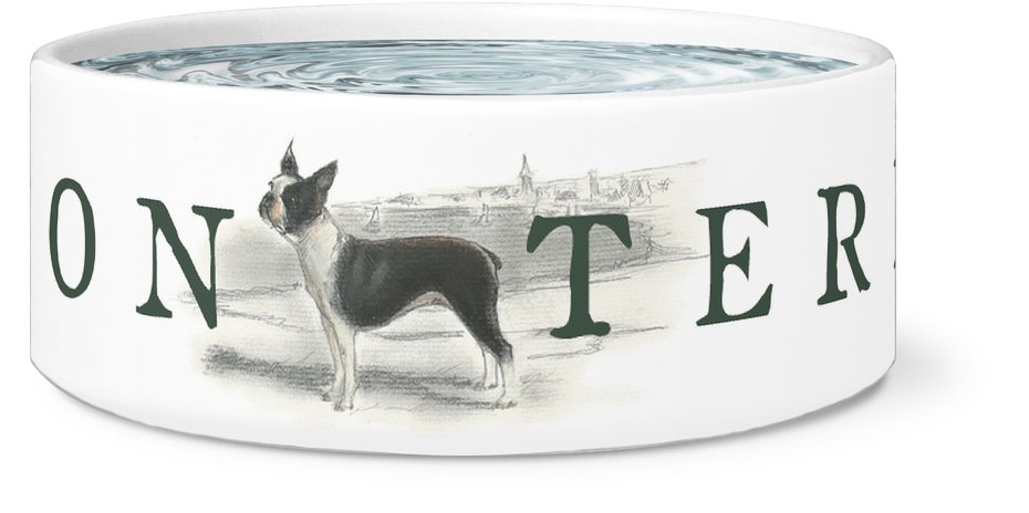 Boston Terrier Water Or Food Bowl - Bull Terrier (1024x1024), Png Download