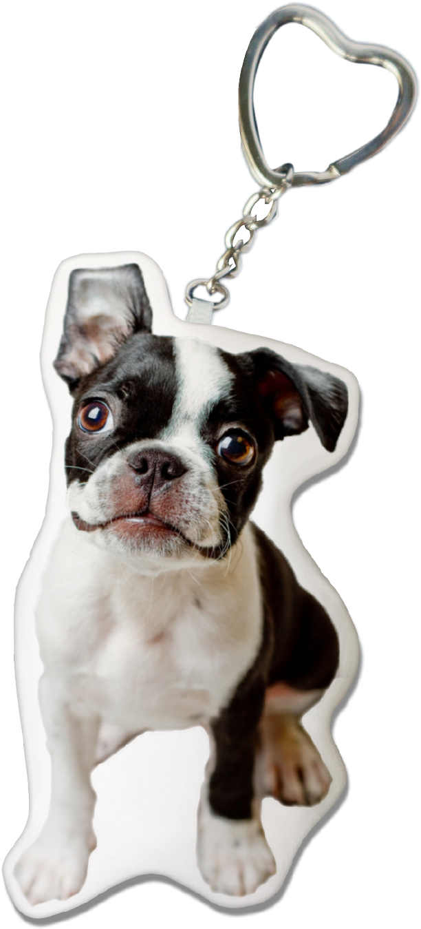 Boston Terrier Png (1240x1754), Png Download
