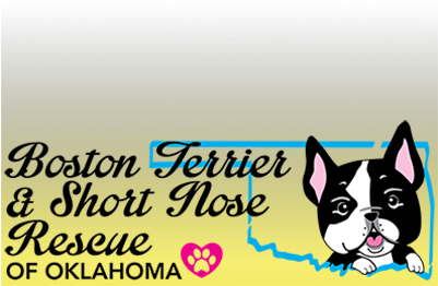 Preview Overlay - Aqua (400x400), Png Download