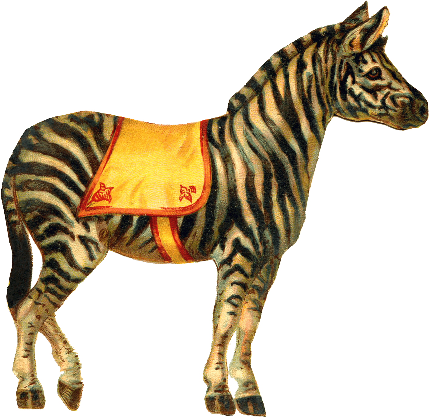 Zebra Circus - Vintage Circus Animal Clipart (1500x1500), Png Download