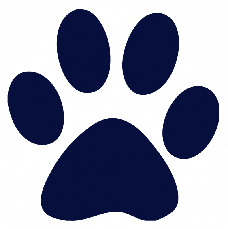 Custom Cat Paw Car Magnets - Navy Blue Dog Paw (797x800), Png Download