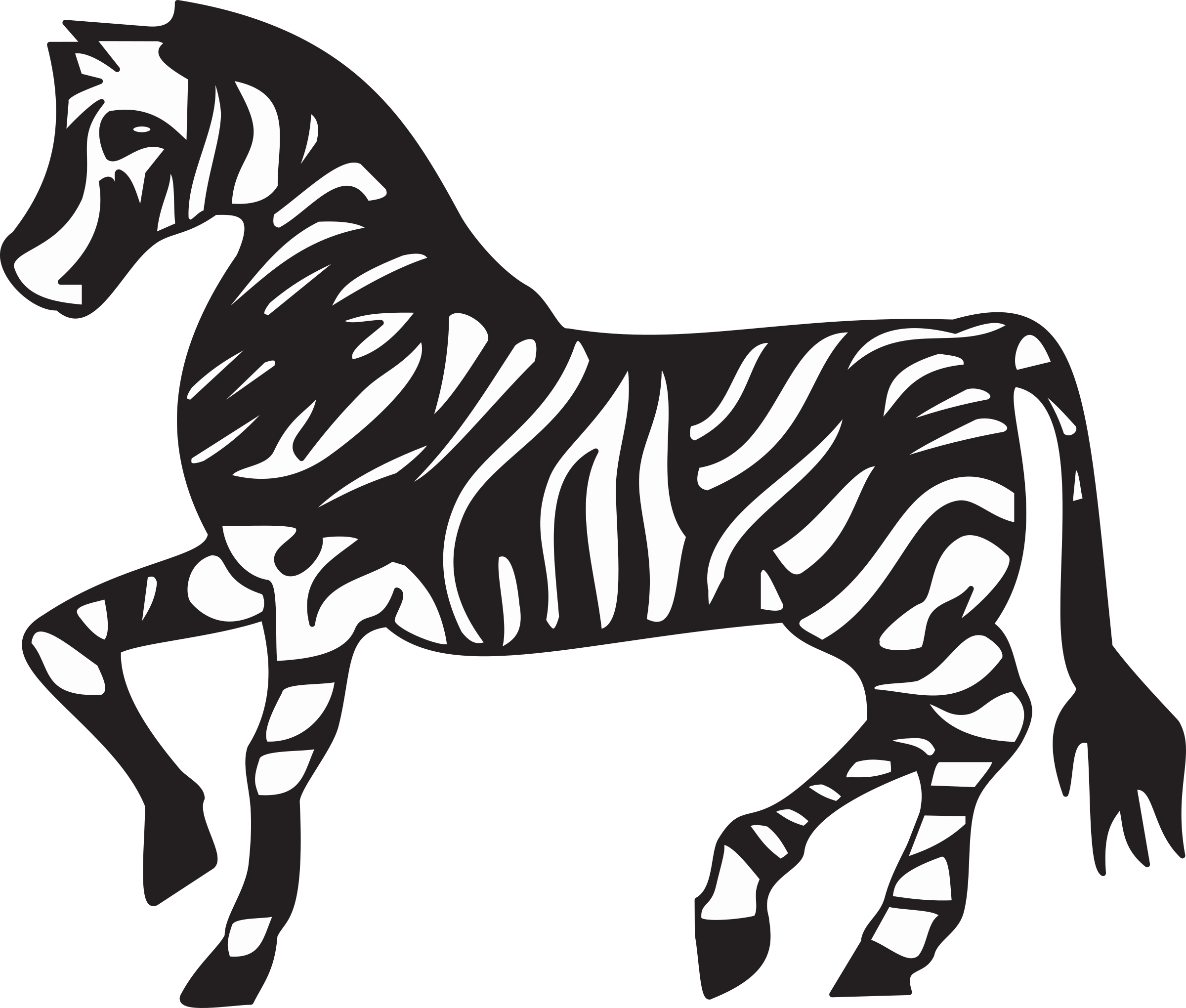 Big Image - Zebra Black And White Png (2400x2040), Png Download
