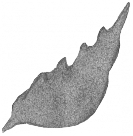 Watercolor Brush Kit 5 - Sole (446x456), Png Download