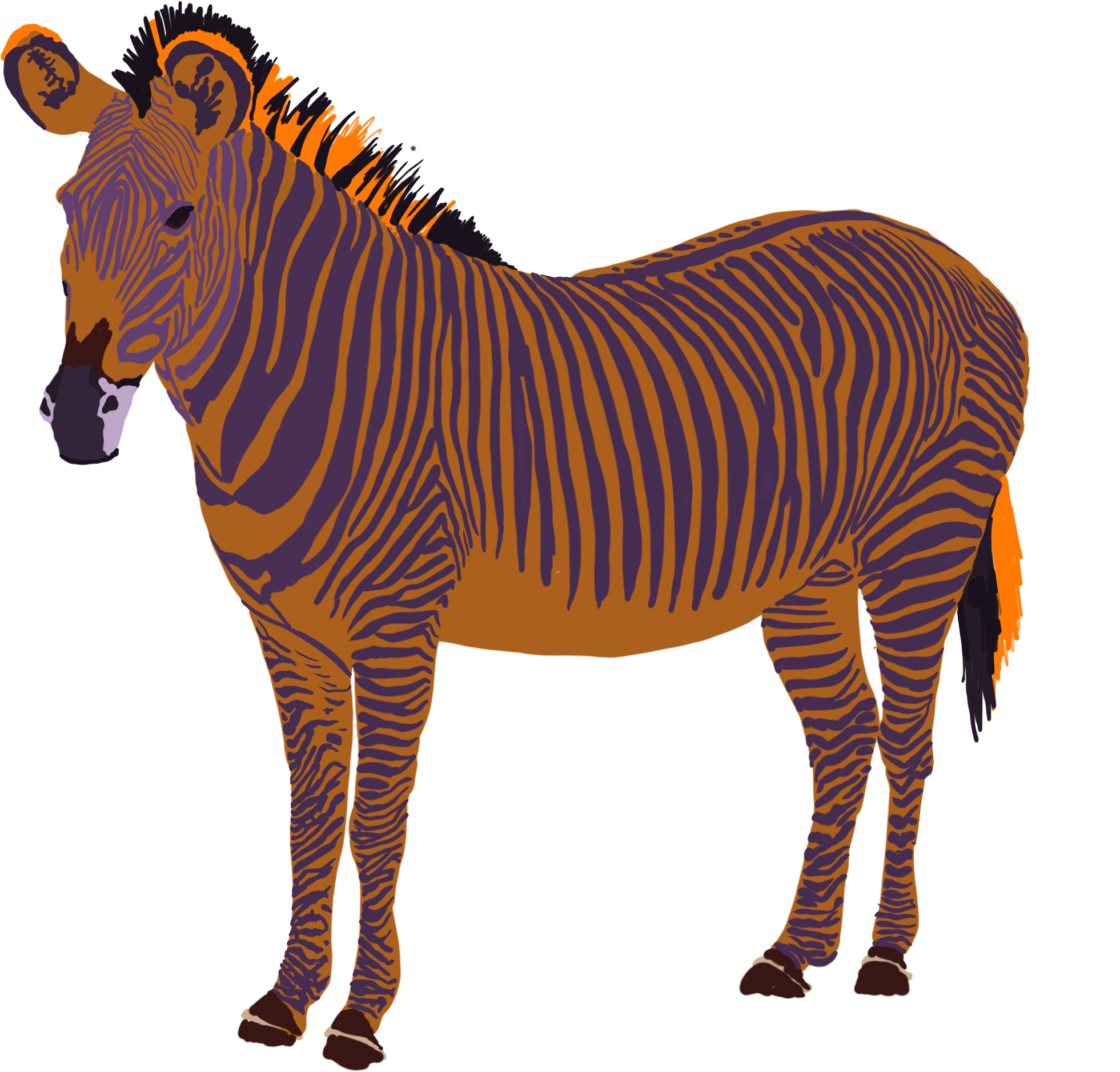 Zebra (1000x1415), Png Download