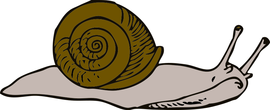 This Free Clipart Png Design Of Snail Clipart (900x367), Png Download