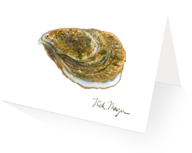 Atlantic Oyster - Eastern Oyster (480x387), Png Download