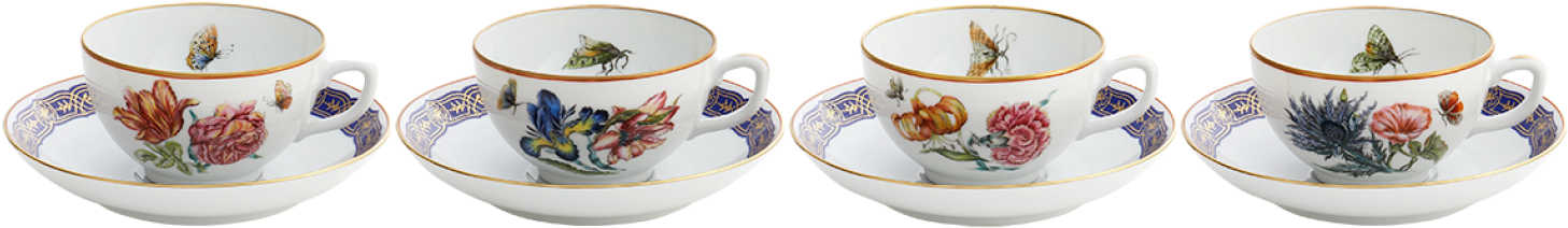 Mottahedeh France Mottahedeh Merian Cup & Saucer (1507x1000), Png Download