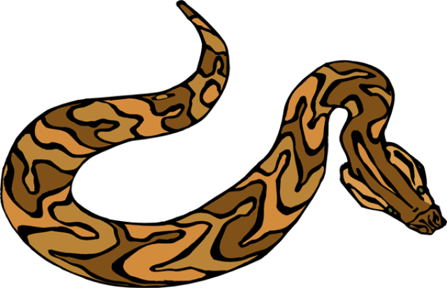 Anaconda Clipart Brown Snake - Snake Clipart (640x413), Png Download