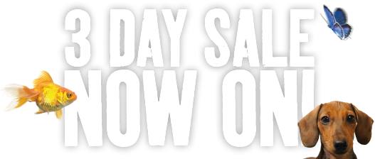 3 Day Sale Now On Banner - Applause (534x244), Png Download