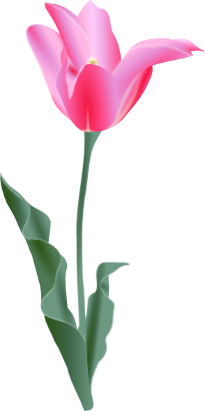 Tulip Clip Art (294x589), Png Download