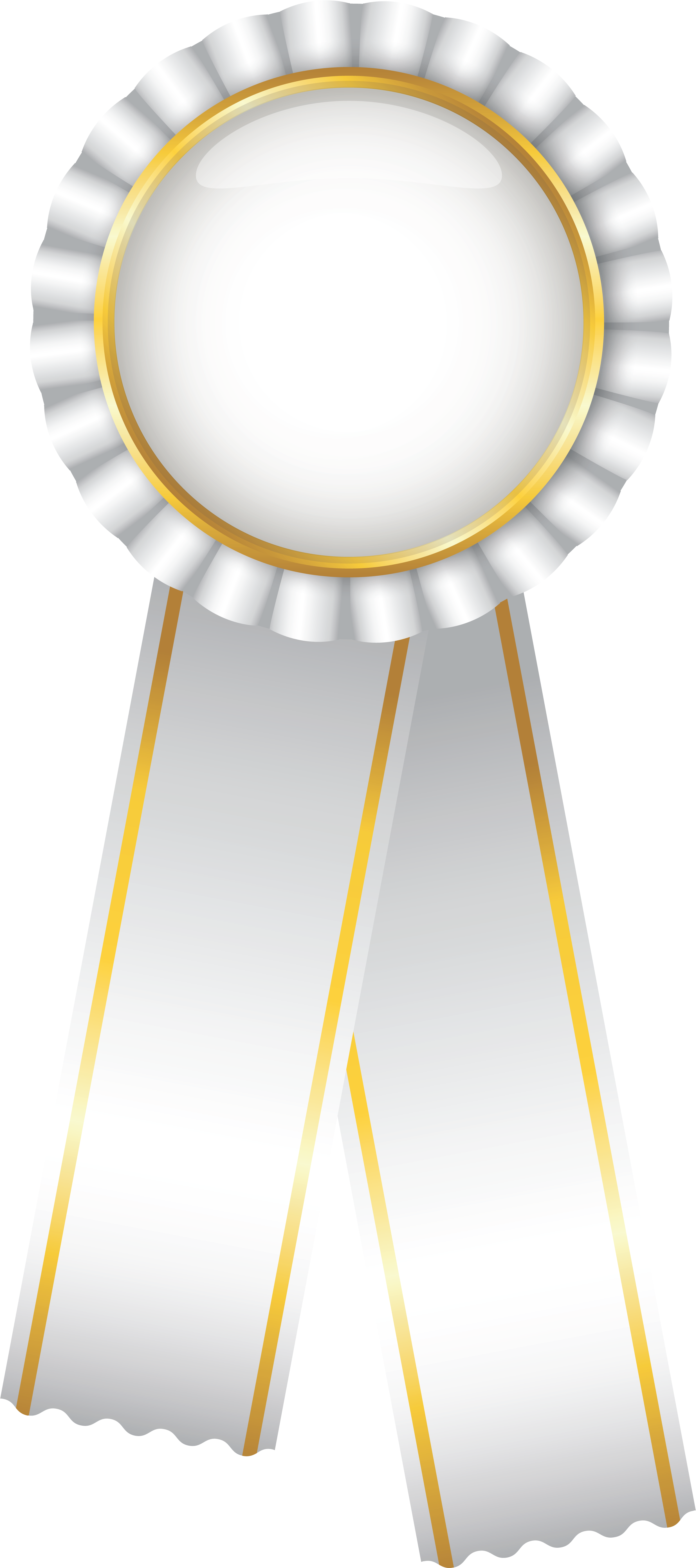 White Lace Ribbon Png Download - Circle (2855x5900), Png Download