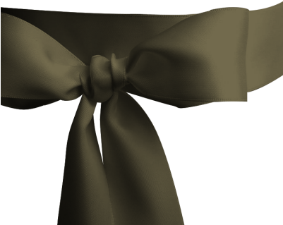Solid Ribbon- Light Brown - Satin (400x400), Png Download