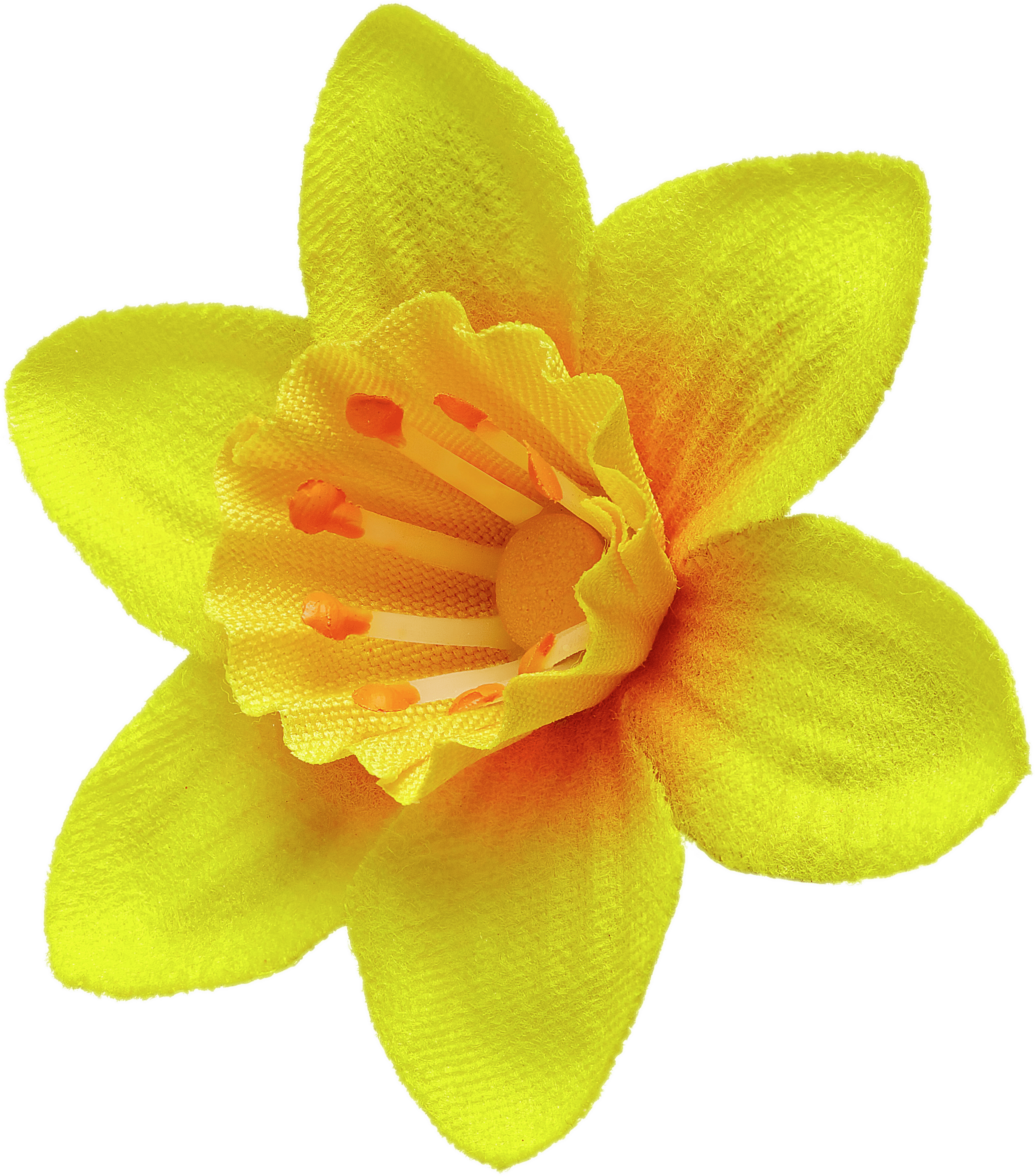 Daffodil Pin - Marie Curie Flower (3000x3000), Png Download