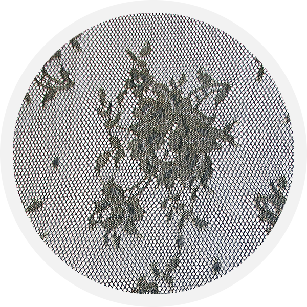 Damaris Gold On Black Raschel Lace - Brane (600x600), Png Download