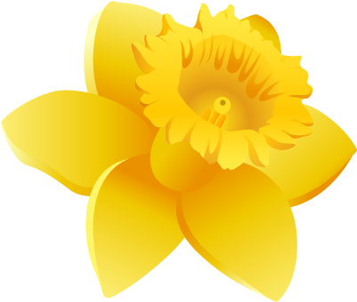 Daffodils Clipart Wales - Daffodil Icon (450x389), Png Download