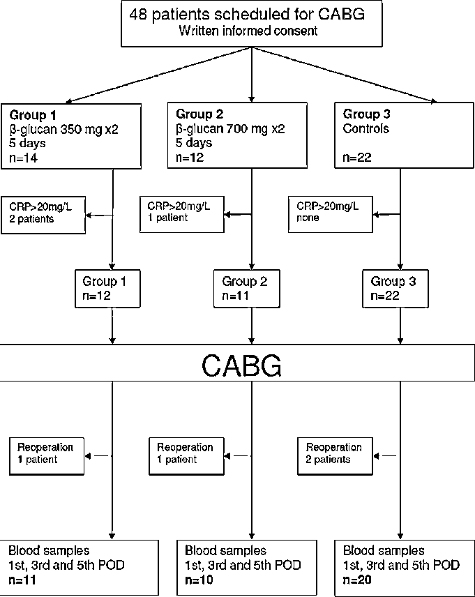 Study Outline - - Diagram (681x856), Png Download