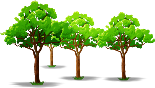 Tree Illustrations - Illustration (600x368), Png Download