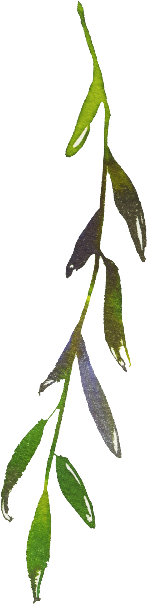 H472 (945x2362), Png Download