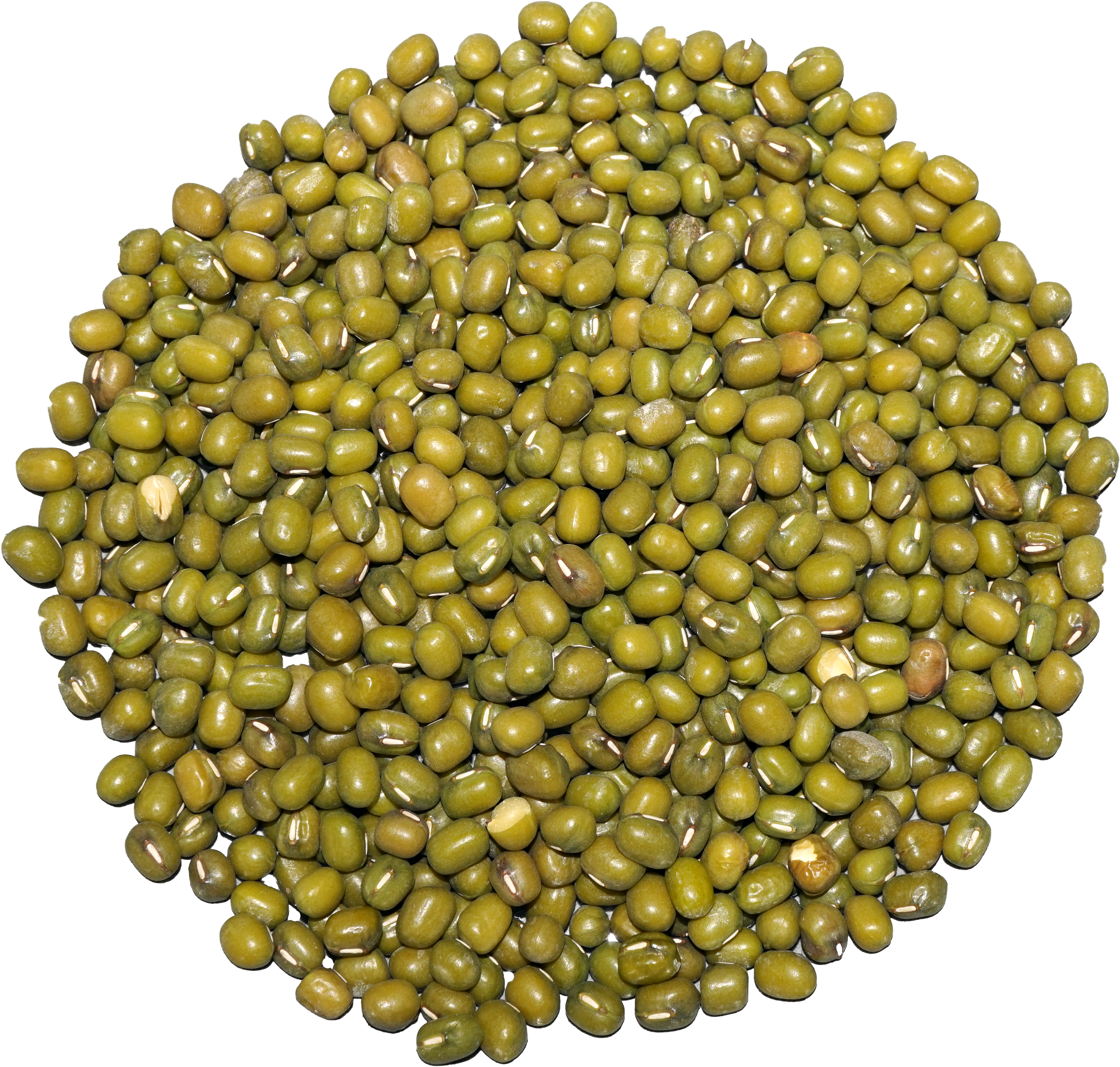 Mung Beans (3350x3180), Png Download