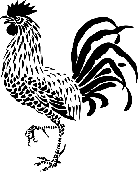 Small - Rooster Clip Art Black White (480x600), Png Download