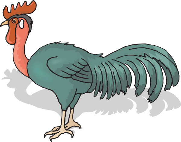 And Red Rooster (600x470), Png Download